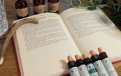 Bachblüten – Seelentropfen der Natur