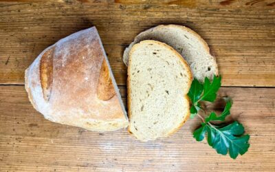 Hundebrot und die Geschichte eines geteilten Lebens