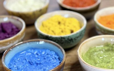 Was Hunde wirklich brauchen (mehr als Karotte, Hühnchen & Reis)