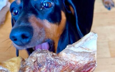 Zähneputzen – Liebe heißt auch Pflege