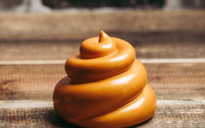 50 Shades of Poop — Warum gesunder Kot nicht immer gleich aussieht