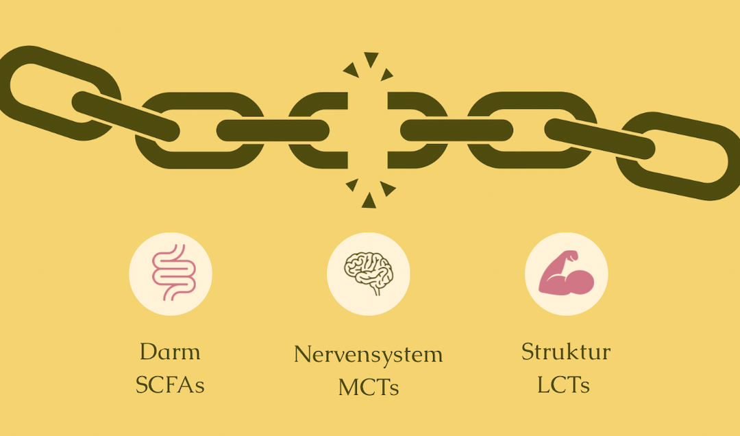 Alle reden über Protein. Niemand über FETT.