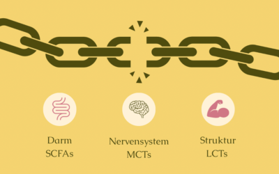 Alle reden über Protein. Niemand über FETT.