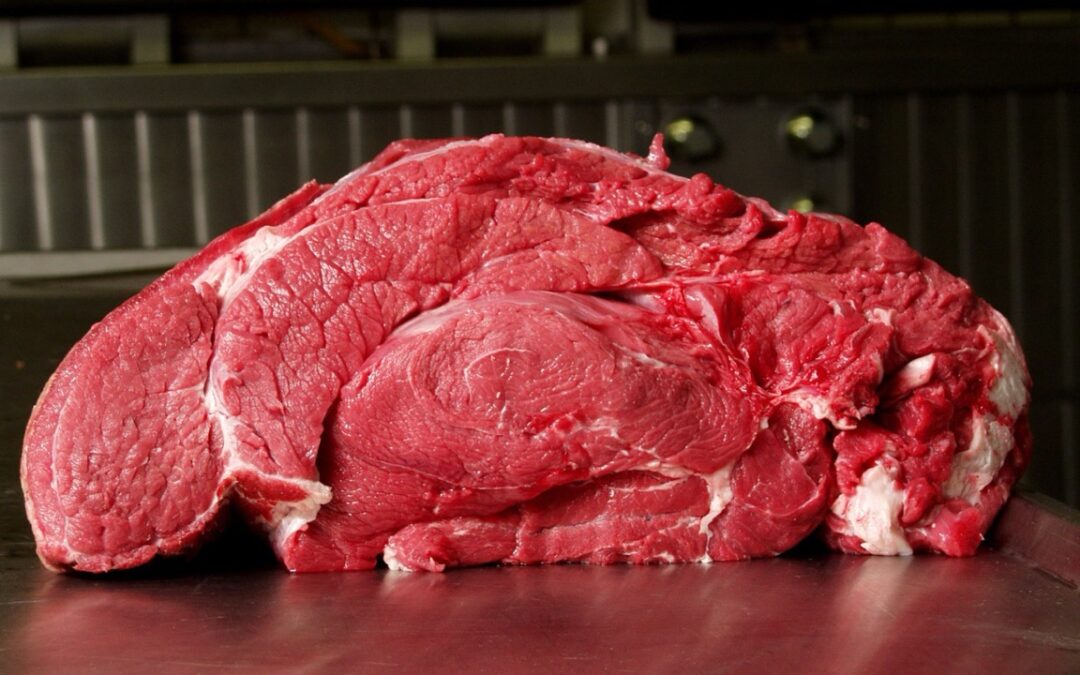 Rohes rotes Fleischstück als Grundlage für natürliche Hundefütterung und schonende Zubereitung